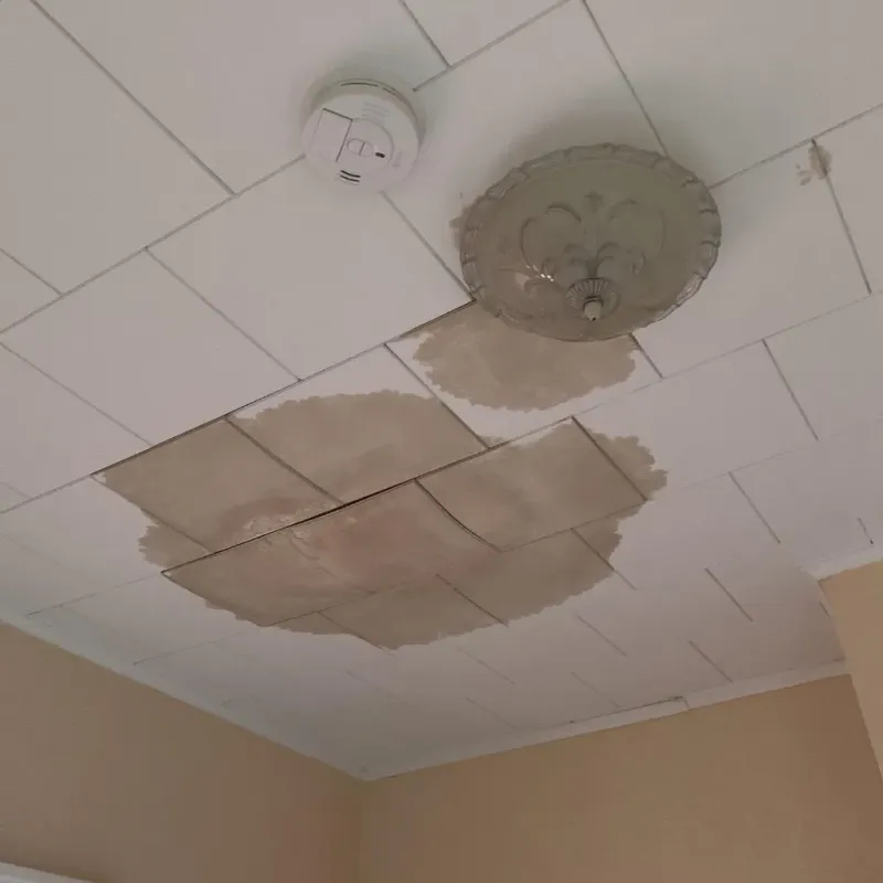 Ceiling Water Damage Repair in Franklin County, NE