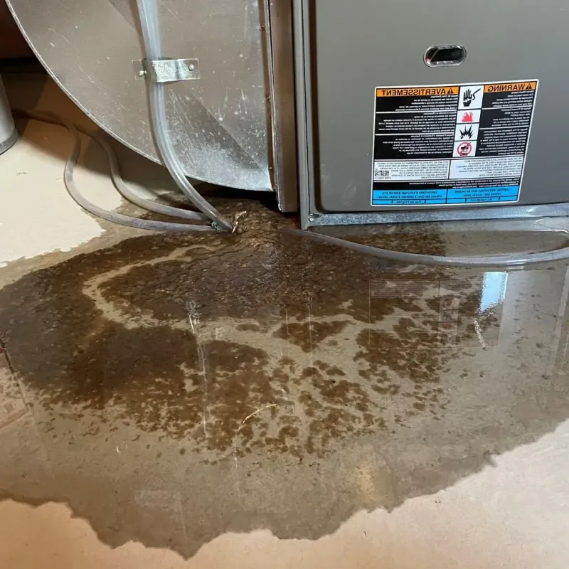 Pipe Burst and Leak Restoration in Franklin County, NE