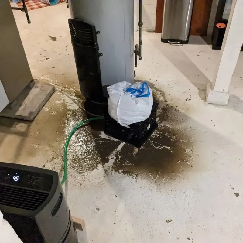 Sewage Backup Cleanup Service in Franklin County, NE